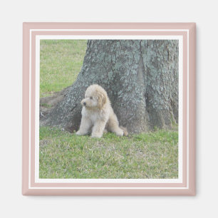 Aimant Rose Créez votre propre photo personnalisée