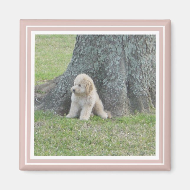 Aimant Rose Créez votre propre photo personnalisée (Devant)