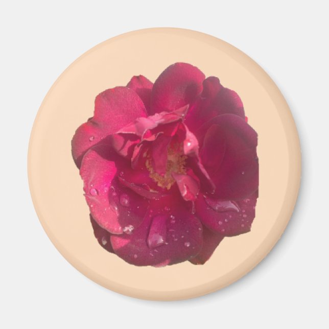 AIMANT ROSE D (Devant)