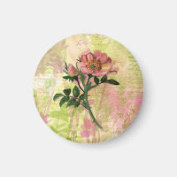 Aimant Rose de chien