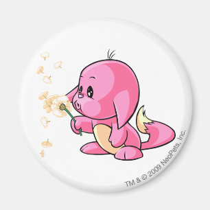 Aimant Rose de Kacheek