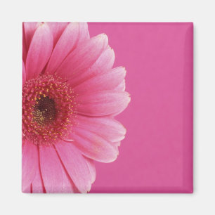 Aimant rose de passion