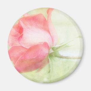 Aimant Rose de rose