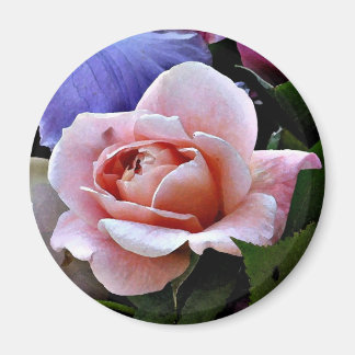 Aimant Rose délicat