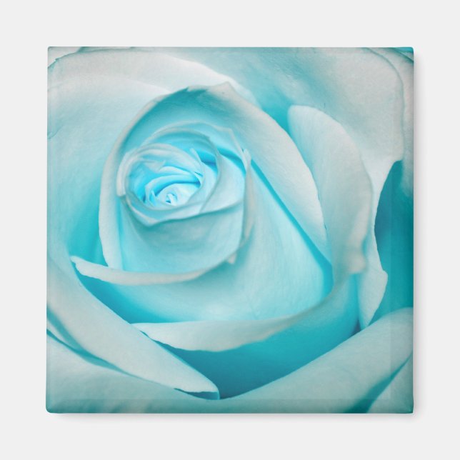 Aimant Rose d'Ice (Devant)