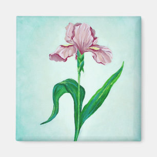 Aimant rose d'iris
