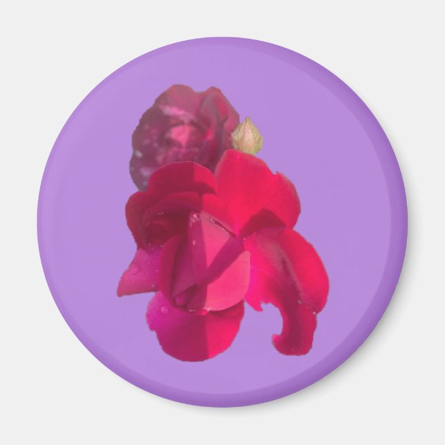 AIMANT ROSE E (Devant)