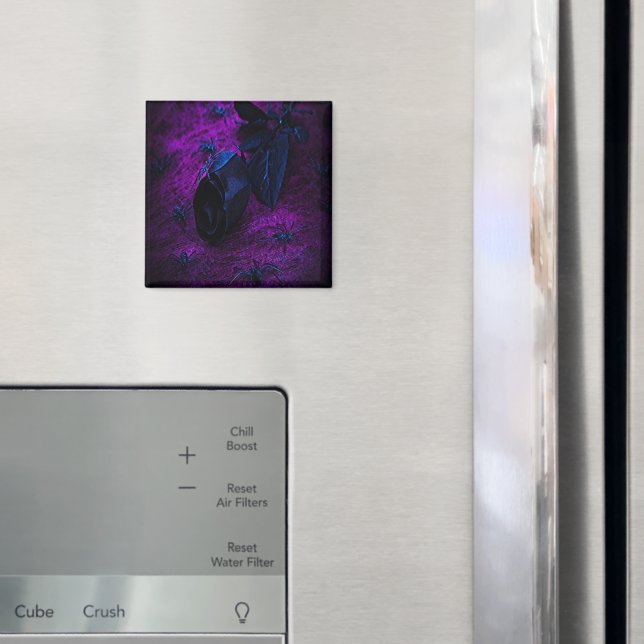Aimant Rose éffrayant en matière noire, araignées noires (In situ (réfrigérateur))