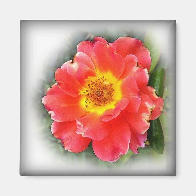 Aimant Rose en automne (Devant)