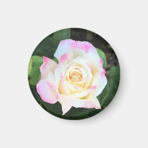 Aimant rose et jaune rose