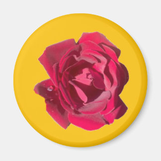 AIMANT ROSE F