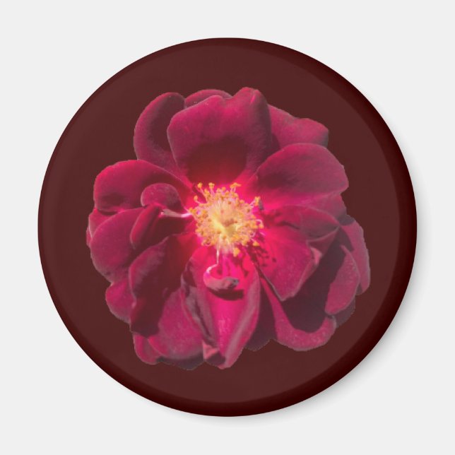 AIMANT ROSE H (Devant)