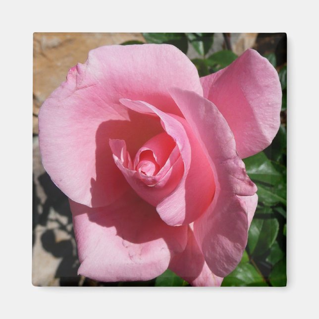 Aimant Rose III Jardin Floral (Devant)