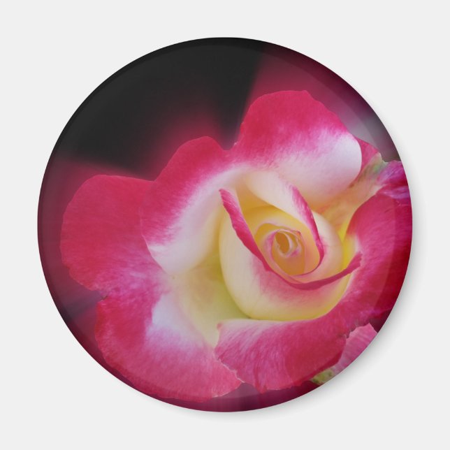 Aimant rose jaune (Devant)