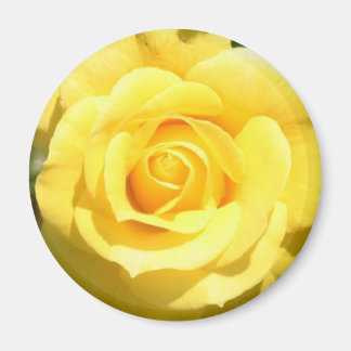 Aimant Rose jaune