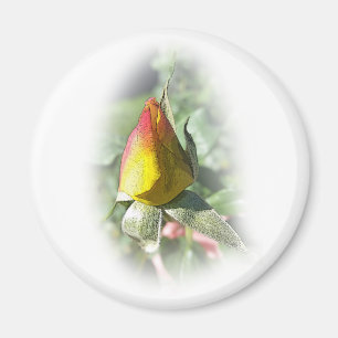 Aimant rose jaune