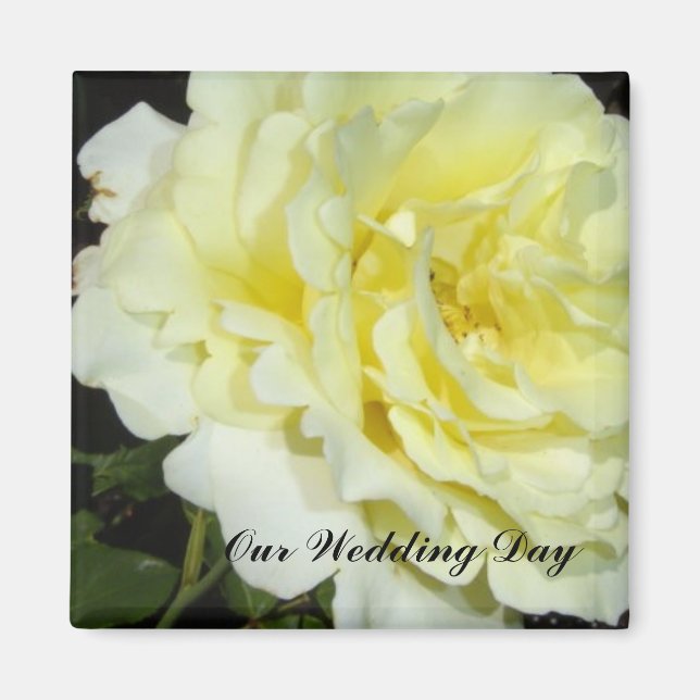 Aimant Rose jaune (Devant)