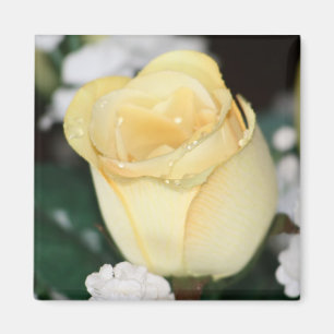 Aimant Rose jaune