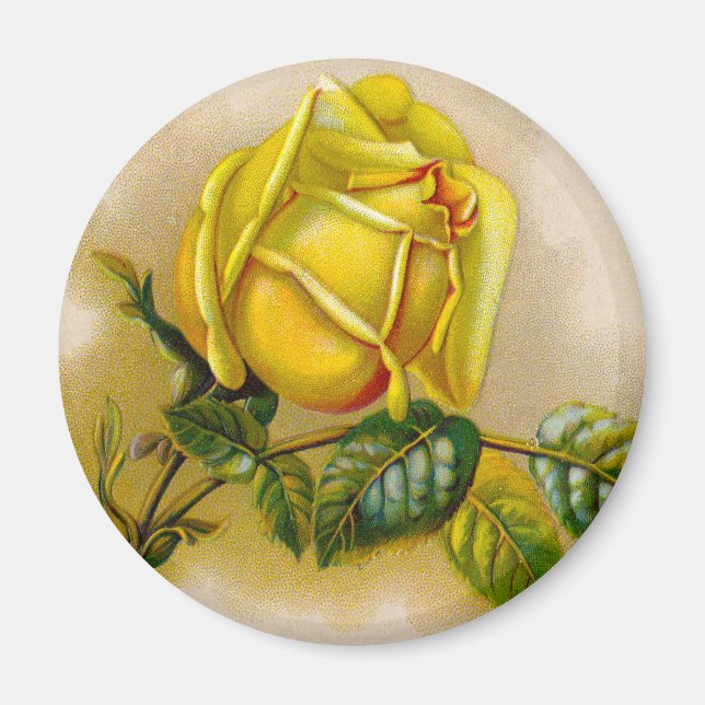 Aimant Rose jaune Antique Vintage Imprimer Art (Devant)