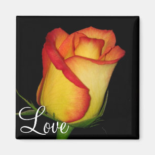 Aimant Rose jaune-orange