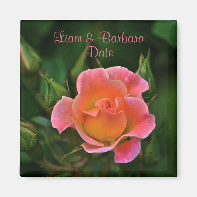 Aimant Rose Mariage rose Peachy (Devant)