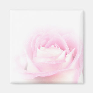 Aimant rose mol