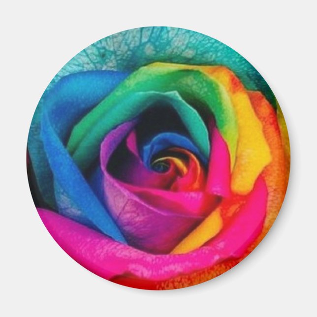 Aimant rose multicolore (Devant)