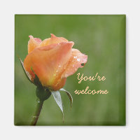 rose orange