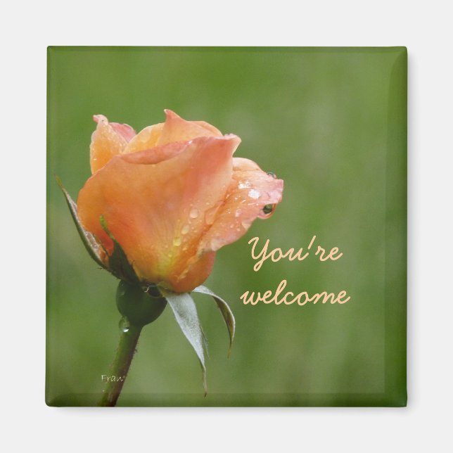 Aimant rose orange (Devant)