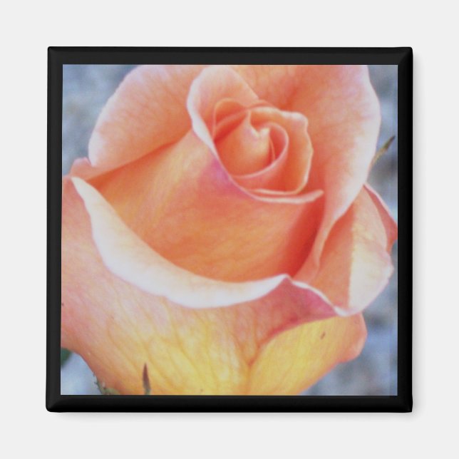 aimant rose orange (Devant)