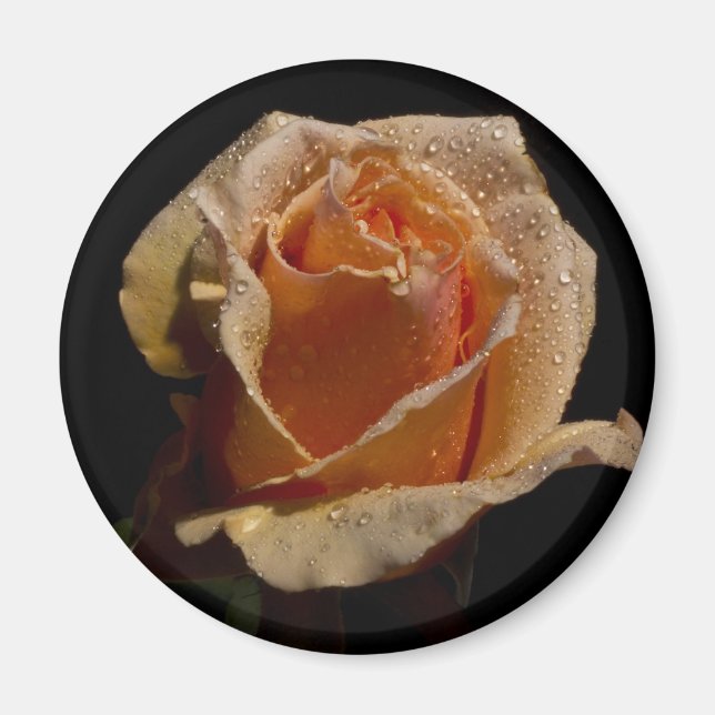 Aimant Rose orange 1 (Devant)
