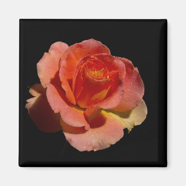Aimant Rose orange 2 (Devant)
