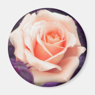 Aimant Rose Pale Peach