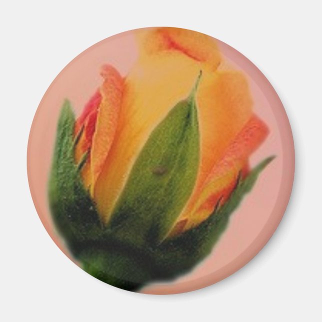 Aimant rose petit zazzle (Devant)