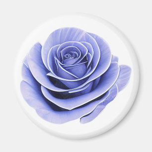 Aimant Rose Pourpre