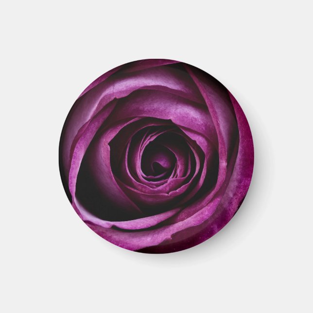 Aimant Rose Pourpre Foncé En Gros Plan (Devant)