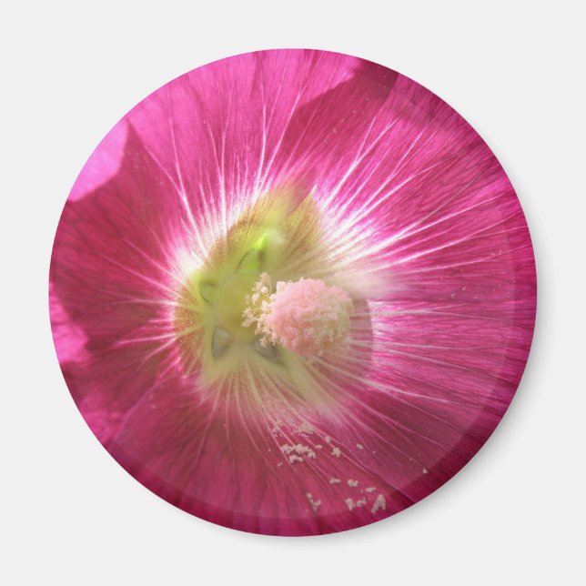 Aimant rose profond Hollyhock (Devant)