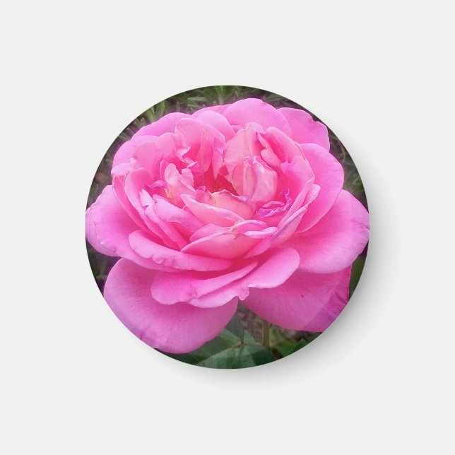 Aimant Rose romantique 'Léonard de Vinci' (Devant)