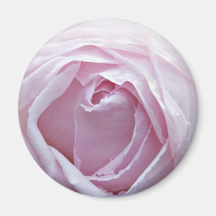 Aimant Rose rose