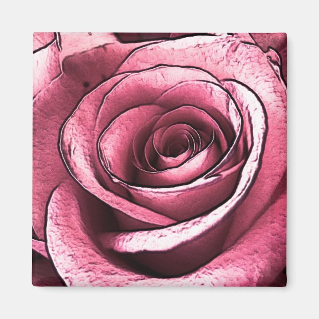 Aimant Rose Rose (Devant)