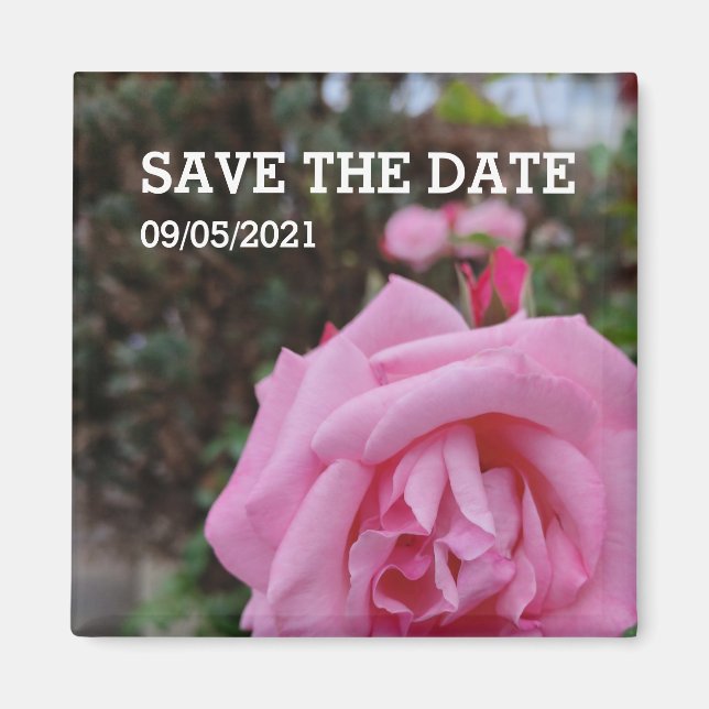 Aimant Rose rose (Devant)