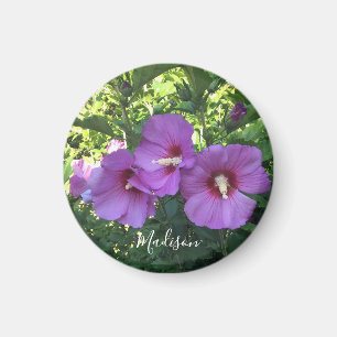 Aimant Rose Rose De Sharon Floral Photographie