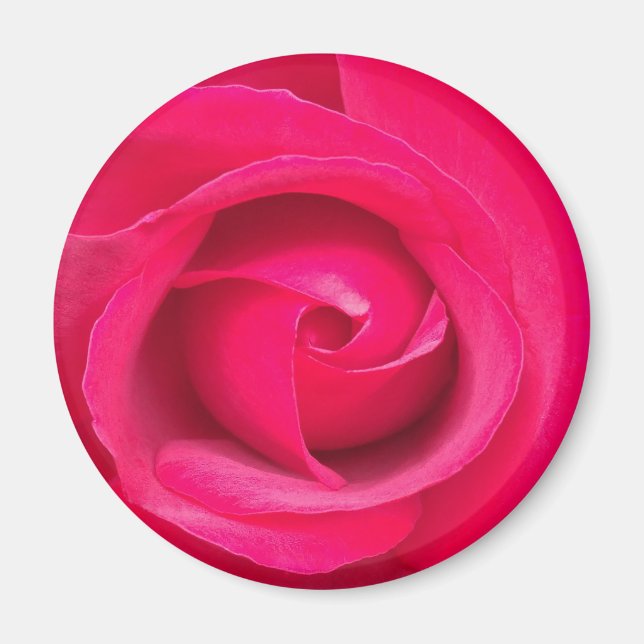 Aimant Rose rose rouge romantique (Devant)