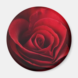 Aimant Rose rouge de Valentine