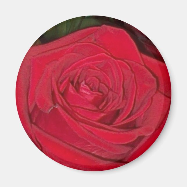 Aimant rose rouge rayonnant (Devant)
