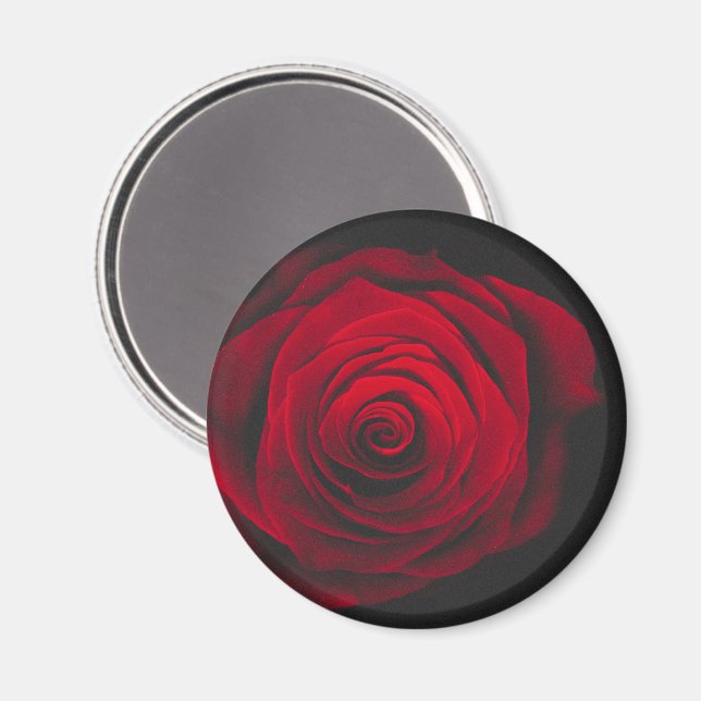 Aimant Rose rouge sur fond noir effet vintage (Recto/Verso)