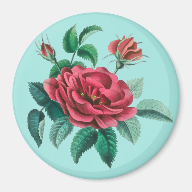 Aimant Rose rouge vintage (Devant)