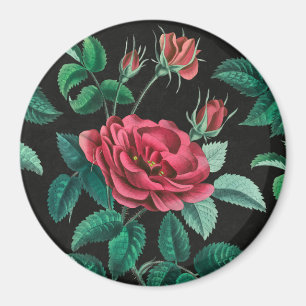 Aimant Rose rouge vintage