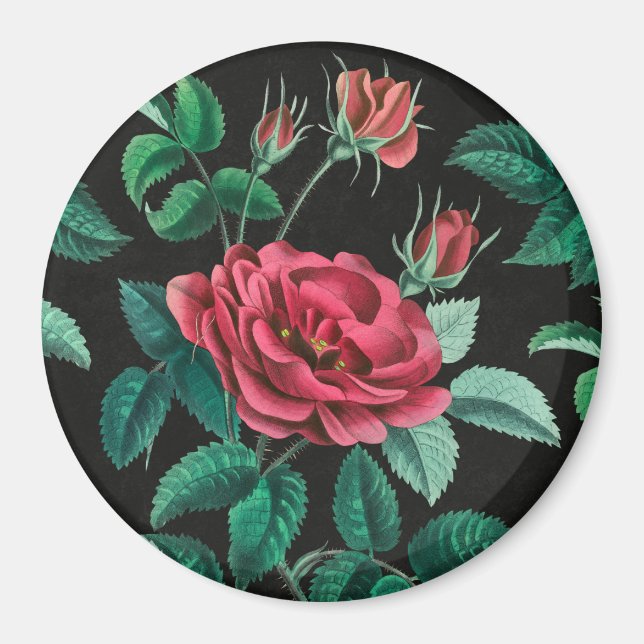 Aimant Rose rouge vintage (Devant)