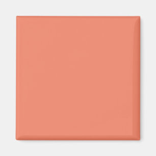 Aimant Rose Saumon Décoration Minimaliste Chic